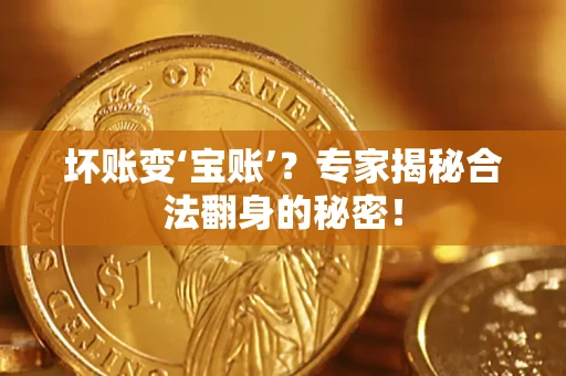 北京坏账变‘宝账’？专家揭秘合法翻身的秘密！