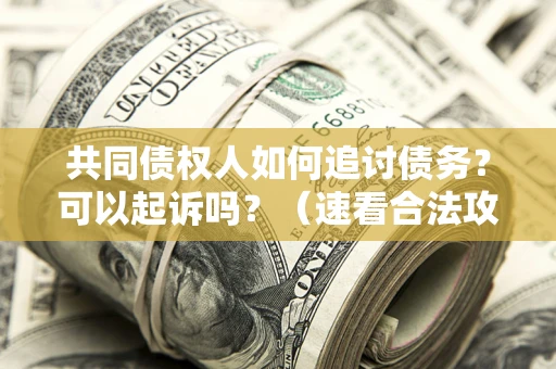北京共同债权人如何追讨债务？可以起诉吗？（速看合法攻略）