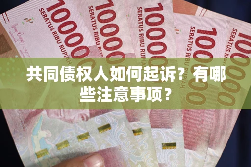 北京共同债权人如何起诉？有哪些注意事项？